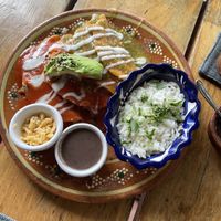 Enchiladas😄 at Plantivoros in Playa Del Carmen