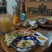  at Plantivoros in Playa Del Carmen