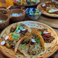  at Plantivoros in Playa Del Carmen