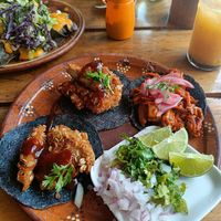  at Plantivoros in Playa Del Carmen