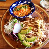  at Plantivoros in Playa Del Carmen