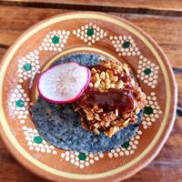  at Plantivoros in Playa Del Carmen