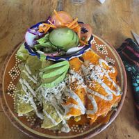 Enchiladas   at Plantivoros in Playa Del Carmen