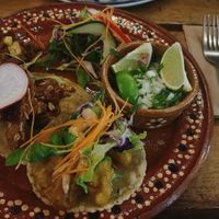 mixed tacos (pastor, cauliflower, kfc)   at Plantivoros in Playa Del Carmen