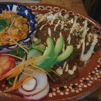 Enmoladas  at Plantivoros in Playa Del Carmen