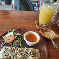  at Plantivoros in Playa Del Carmen