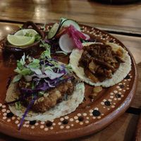  at Plantivoros in Playa Del Carmen