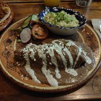  at Plantivoros in Playa Del Carmen