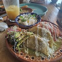  at Plantivoros in Playa Del Carmen