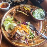  at Plantivoros in Playa Del Carmen