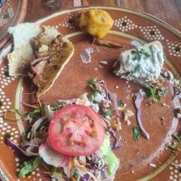  at Plantivoros in Playa Del Carmen