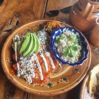  at Plantivoros in Playa Del Carmen