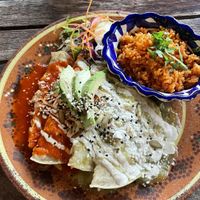 Enchiladas  at Plantivoros in Playa Del Carmen