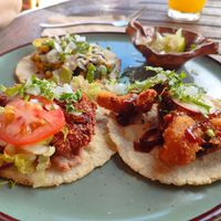 Tacos at Plantivoros in Playa Del Carmen