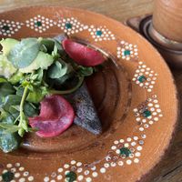   at Plantivoros in Playa Del Carmen