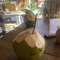   at Plantivoros in Playa Del Carmen