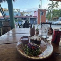   at Plantivoros in Playa Del Carmen