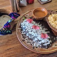  at Plantivoros in Playa Del Carmen