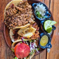  at Plantivoros in Playa Del Carmen