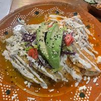   at Plantivoros in Playa Del Carmen