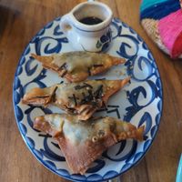  at Plantivoros in Playa Del Carmen