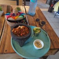  at Plantivoros in Playa Del Carmen