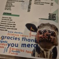  at Plantivoros in Playa Del Carmen