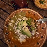  at Plantivoros in Playa Del Carmen