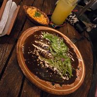  at Plantivoros in Playa Del Carmen