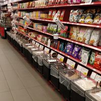  at Bulk Barn - Rue Wellington in Montreal