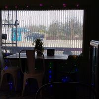 Sparkly lights by the window at HASH - Vegan Eats SA in San Antonio