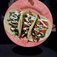 Buffalo chicken tacos   at HASH - Vegan Eats SA in San Antonio