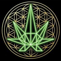   at HASH - Vegan Eats SA in San Antonio