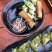 Vegane Gyoza & Frühlingsrollen  at Soki Garden in Karlsruhe