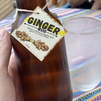   at Vegan Garden in Pucon