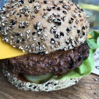 Vegan burger with cheese at 't Boshuys in Best