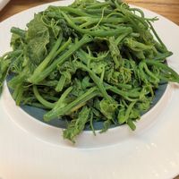洋瓜尖 A very delicious sort of green leavy vegetable at Zhòng Shàn Yuán 众善缘 - Hongsheng Rd in Dali