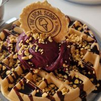 Vegan waffle with chocolate sauce, honeycomb and blackcurrant amd cherry gelato. at The Local Scoop in Dawlish