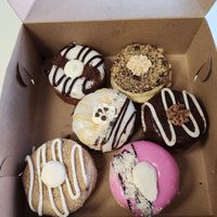  at HaleLife Bakery in Tampa