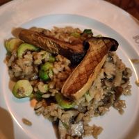  at Bar Botanique in Amsterdam