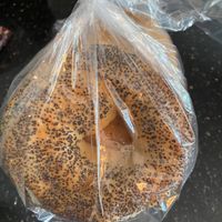 Poppyseed bagels  at Jo-el's in St Petersburg