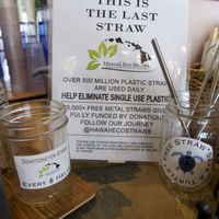 Something they offer at Peace Cafe in Honolulu