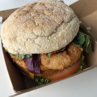   at Peter Pane in Stuttgart