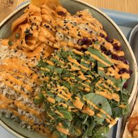   at Tolstoy in Vienna