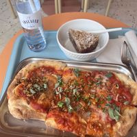   at Tolstoy in Vienna