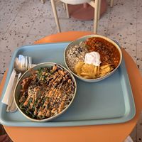   at Tolstoy in Vienna