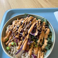   at Tolstoy in Vienna