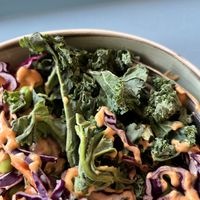   at Tolstoy in Vienna