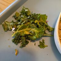  at Tolstoy in Vienna