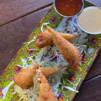 Spring rolls  at Pearl Diver in Nashville